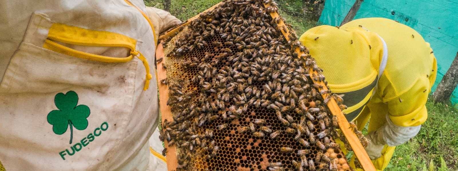 Chaparral, Tolima, Mayo 20 Celebración del Día Internacional de las Abejas